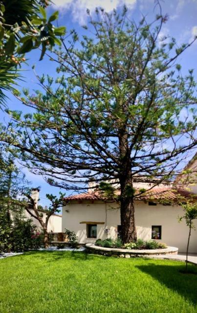 Chorio House Platanias Guest House Vrísai Eksteriør bilde